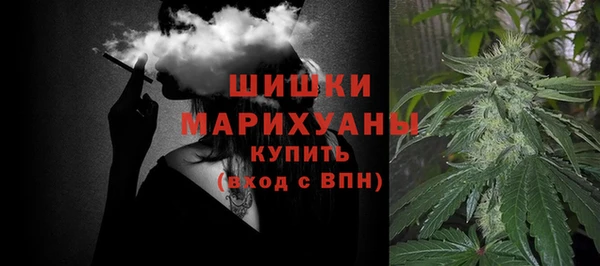 крисы Богородск