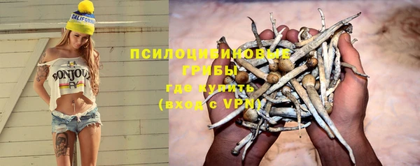 крисы Богородск